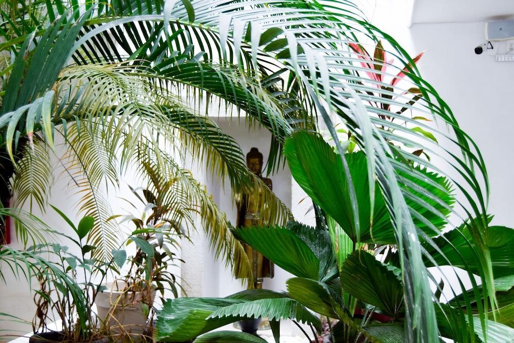 Hotel Zendero Tulum Ngoại thất bức ảnh